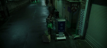 Night Flower (2025) download