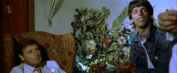 Night Has a Thousand Desires (1984) download