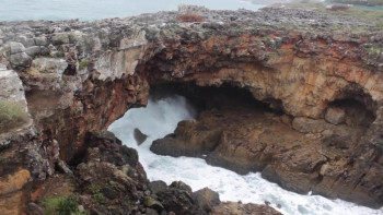 Night of Open Sex (1983) download