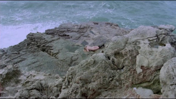 Night of Open Sex (1983) download