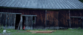 Night of the Coconut (2022) download