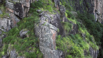 Nilgiris: A Shared Wilderness (2024) download