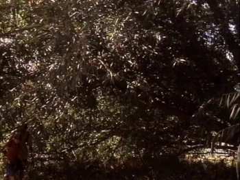 No More Baths (1998) download