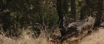 No Reception (2024) download