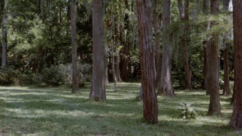 No Retreat, No Surrender 3: Blood Brothers (1990) download