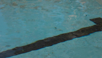 No Sleep Till (2024) download