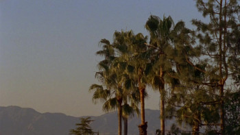 Nobody Walks (2012) download