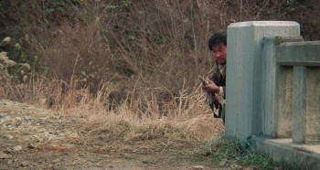 North Korean Partisan in South Korea (1990) download