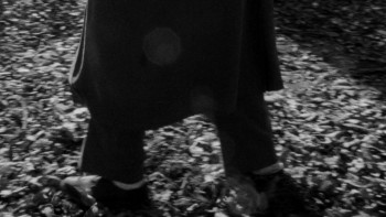 Northern Lights (1978) download