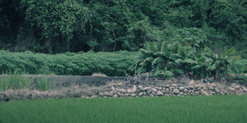 Nühai (2025) download