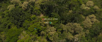 O Diário de Pilar na Amazônia (2025) download