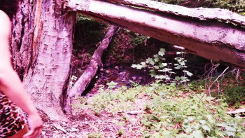 One Million Babes BC (2024) download