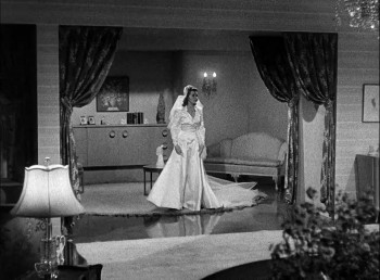 One Night in the Tropics (1940) download