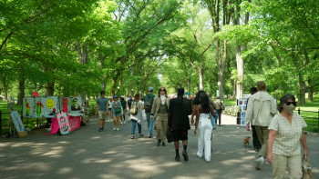 Oscar Wilde About America (2024) download