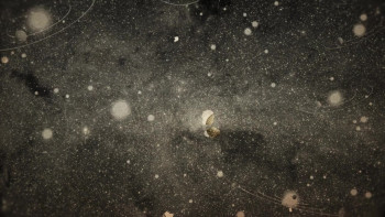 Other Earths: The Search for Habitable Planets (2021) download