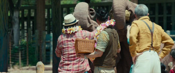 Panda Plan (2024) download