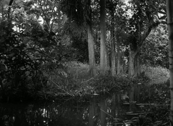 Paradise of Terror (1965) download