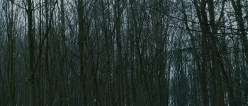 Pars vite et reviens tard (2007) download