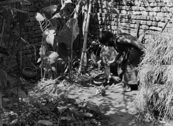 Pather Panchali (1955) download