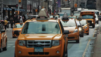 Paws in the City (2025) download