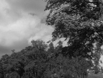 Pengar - En tragikomisk saga (1946) download