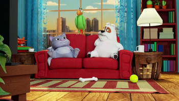 Pets (2020) download