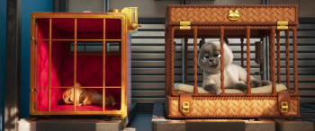 Pets on a Train (2025) download