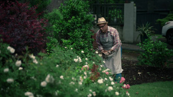 Picture Perfect Sister-In-Law (2026) download