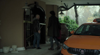 Portrait of Beauty (2019) download