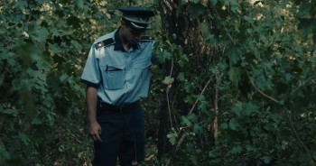 Portrete în pãdure (2017) download