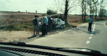 Portrete în pãdure (2017) download