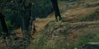 Pot of Gold (2025) download