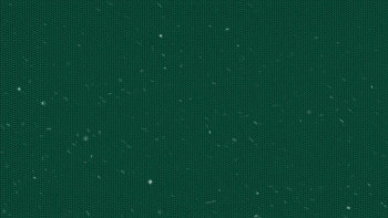 Powder Pup (2024) download