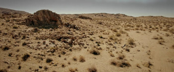 Predator: Wastelands (2025) download