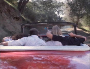 Psycho Cop (1989) download