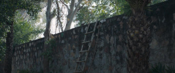 Raat Akeli Hai: The Bansal Murders (2025) download