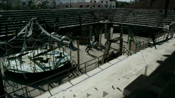 Raging Phoenix (2009) download