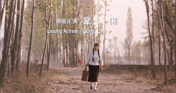 Raise the Red Lantern (1991) download