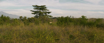 Red Plague (2025) download