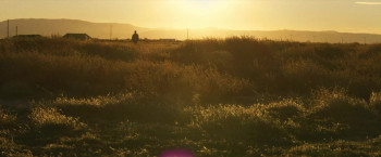 Red Plague (2025) download