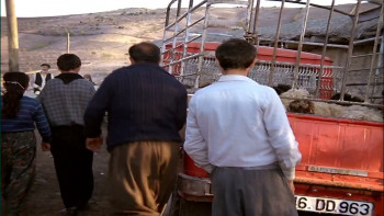 Reise der Hoffnung (1990) download