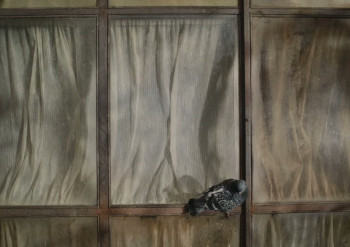 Resurrection (2025) download