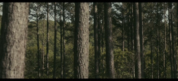 Resurrection Road (2025) download