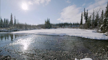 Return to the Wild: The Chris McCandless Story (2014) download