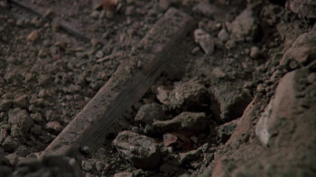 Revenge of the Dead (1983) download