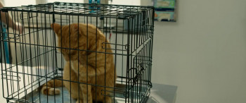 Right on Track (2003) download