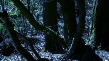 Robin Hood: Ghosts of Sherwood (2012) download