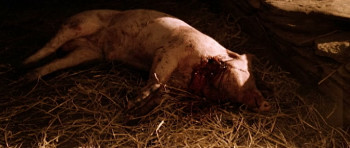 Romasanta (2004) download