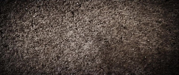 Room 203 (2022) download