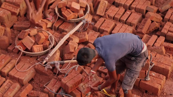 Rooting for Roona (2020) download